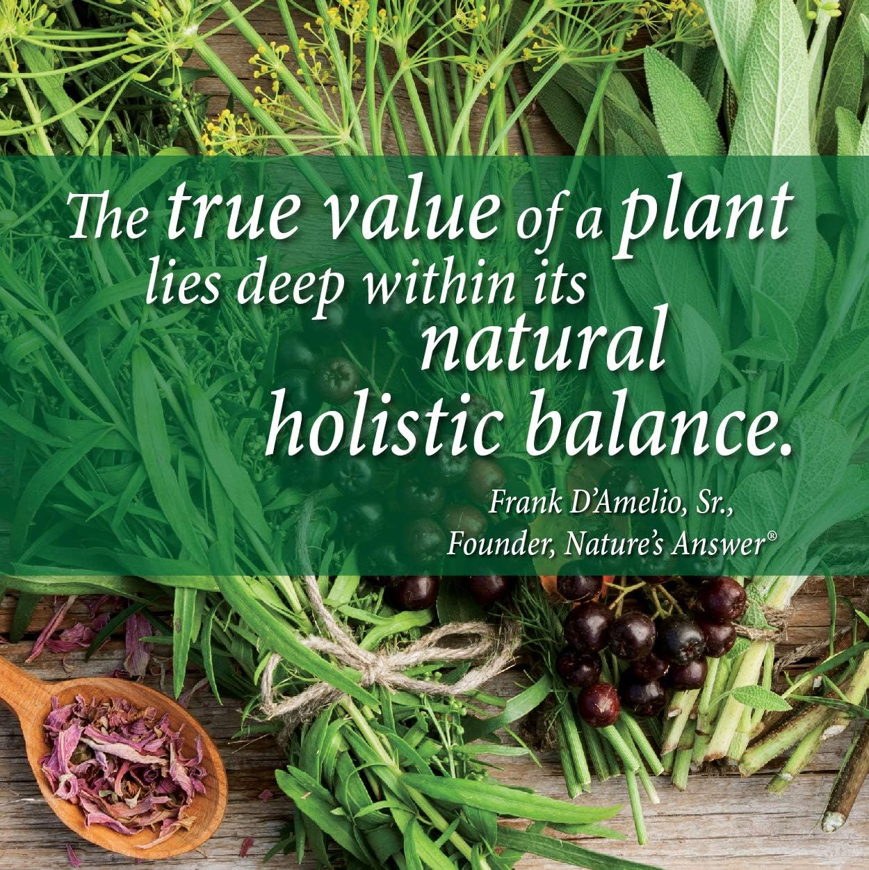 1-Fluid Ounce Nature's Answer Turmeric-3 Liquid for Joint Support