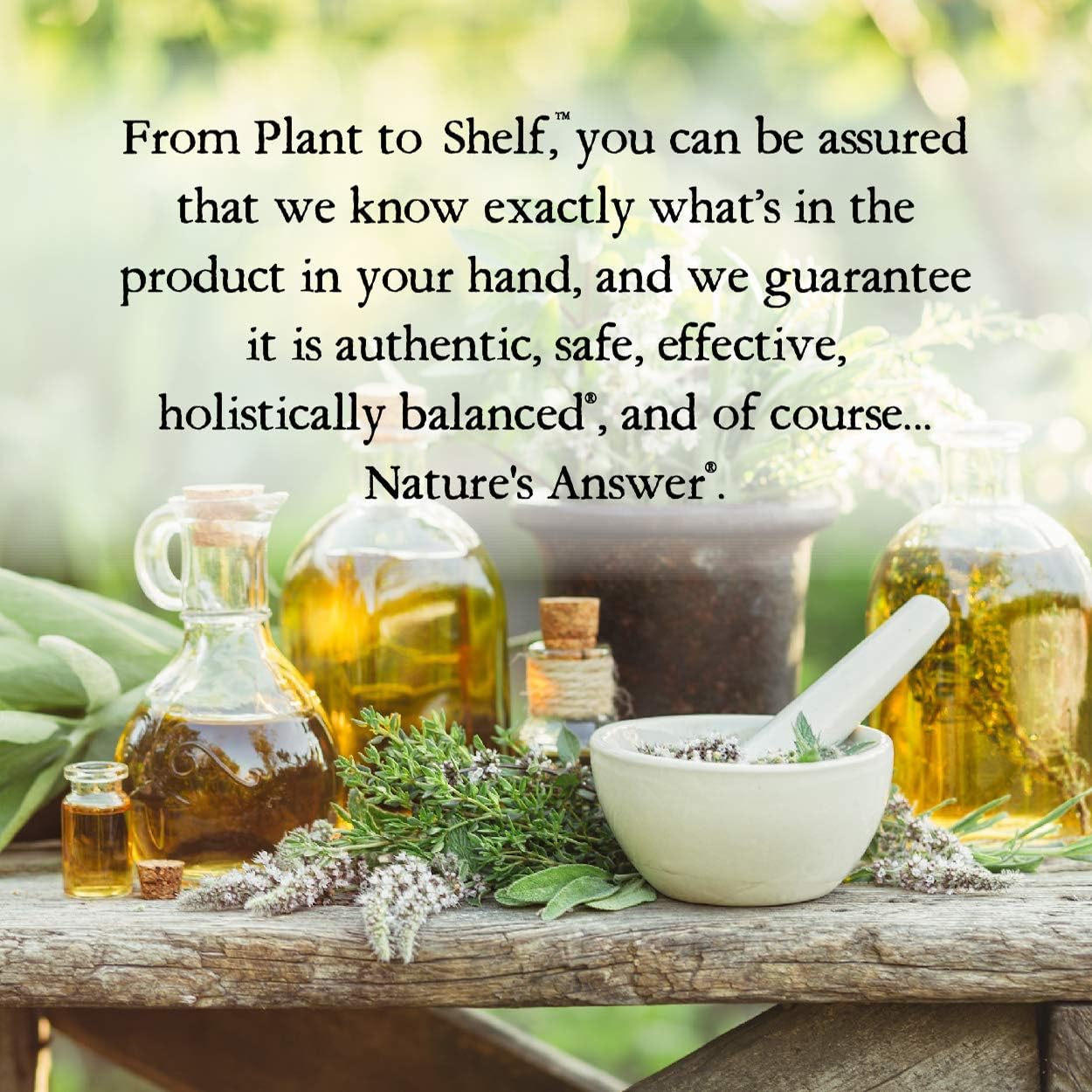 1-Fluid Ounce Nature's Answer Turmeric-3 Liquid for Joint Support