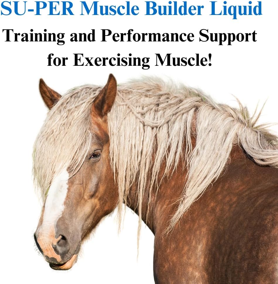 1 Gallon SU-PER Muscle Builder Horse Supplement - Enhance Training & Performance - 4 Month Supply