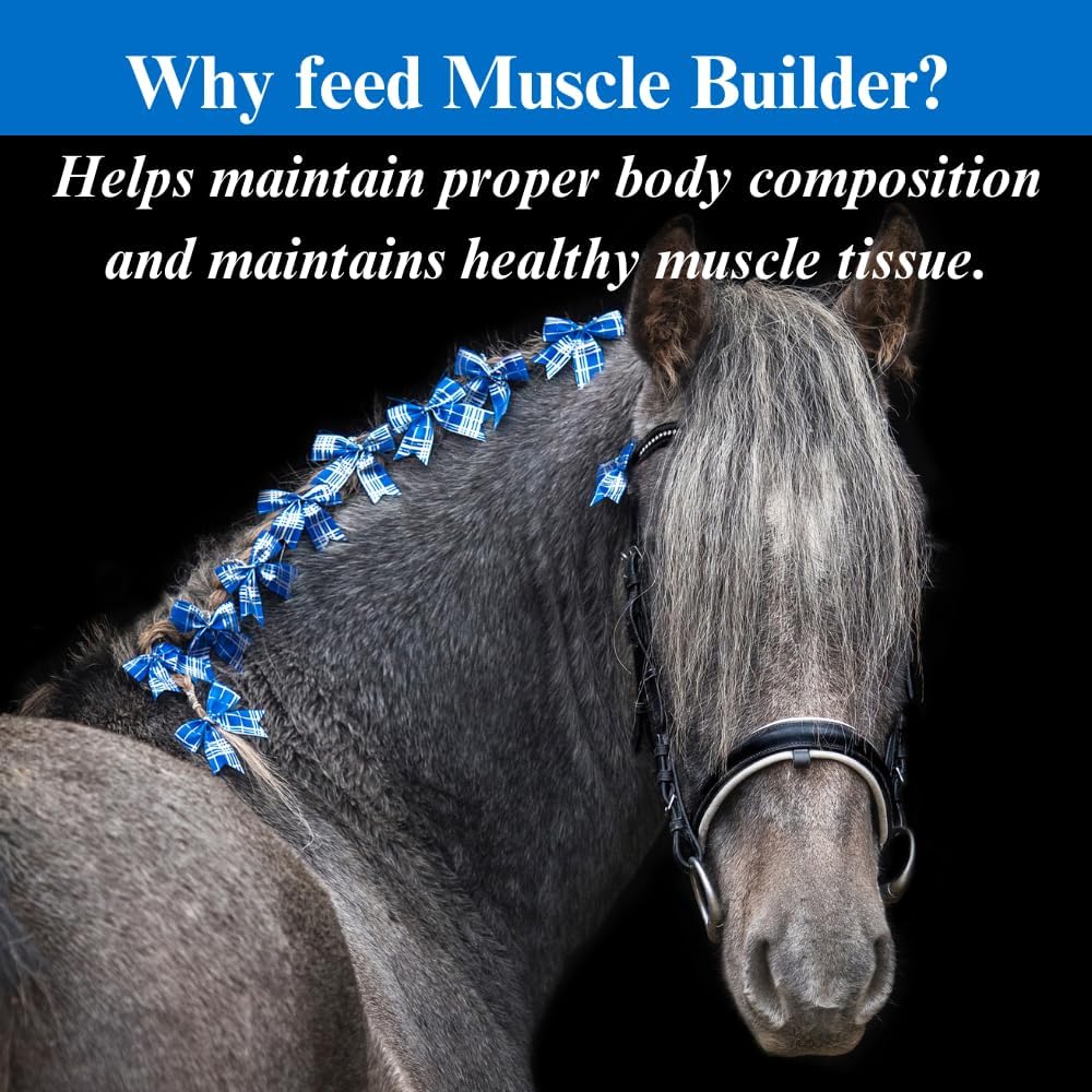 1 Gallon SU-PER Muscle Builder Horse Supplement - Enhance Training & Performance - 4 Month Supply