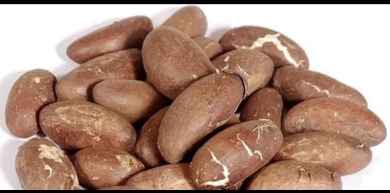 1 Lb Bitter Kola Nut Garcinia Kola Cola - Premium Quality African Superfood
