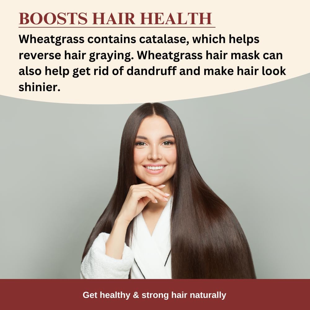 1 lb Darsa Organics Wheatgrass Powder - Non-GMO, Gluten-Free, Kosher, Rich in Vitamins A, C & E, Boosts Energy, Vitality & Digestive Health from India - BoostGo Australia