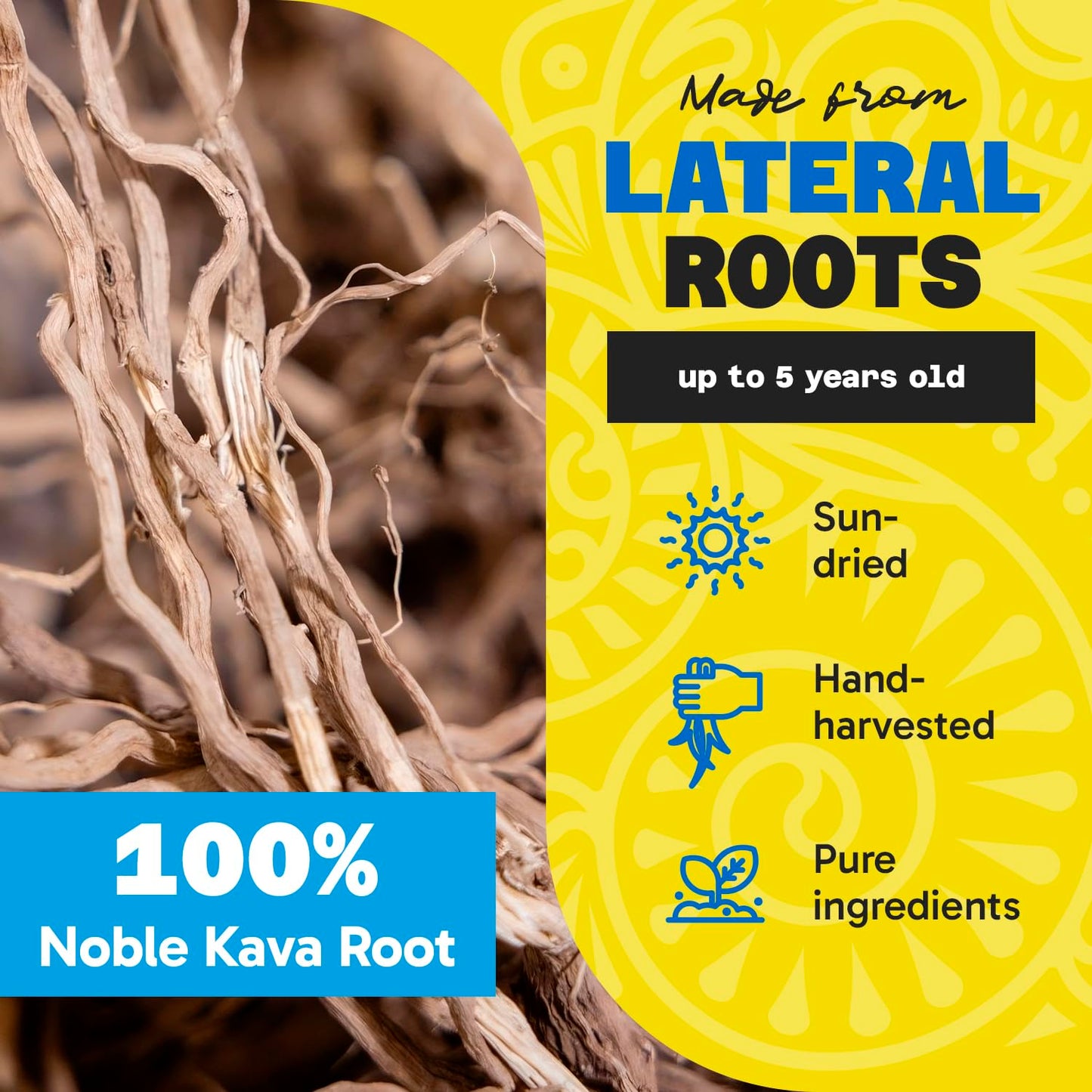1 lb Fiji Vanua Kava Premium Loloma Waka Kava Root Powder - Noble Kava Root with Sun-dried Lateral Roots - Medium Grind for Easy Preparation - Smooth & Delicious Taste