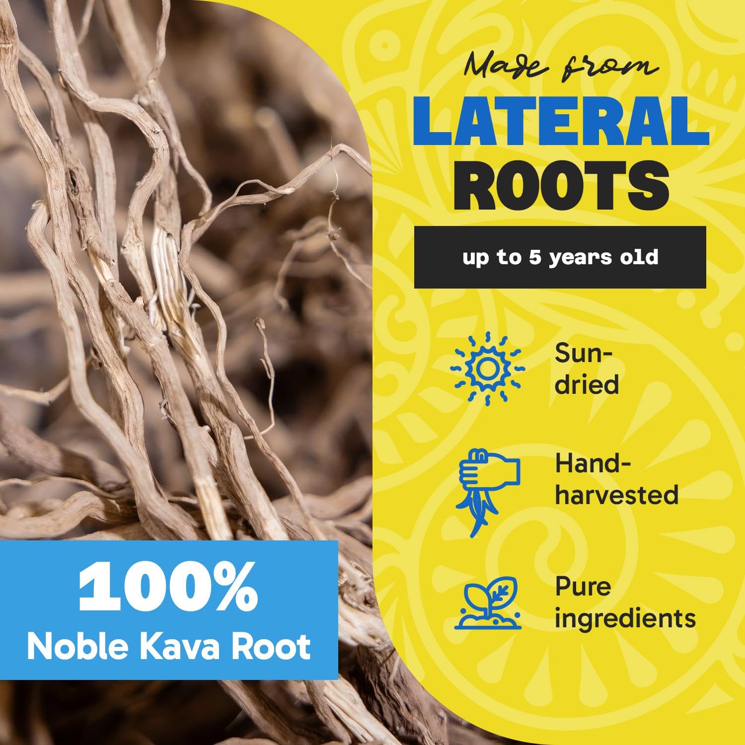 1 lb Fiji Vanua Kava Premium Loloma Waka Kava Root Powder - Noble Kava Root with Sun-dried Lateral Roots - Medium Grind for Easy Preparation - Smooth & Delicious Taste