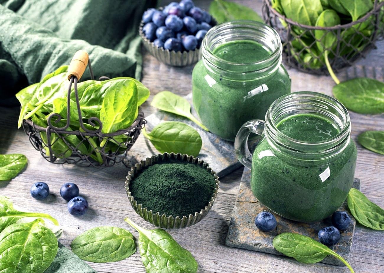 1 lb. Food to Live Chlorella Powder - Kosher, Raw Green Algae, Vegan Superfood for Drinks, Teas, Smoothies - Rich in Vitamins & Minerals
