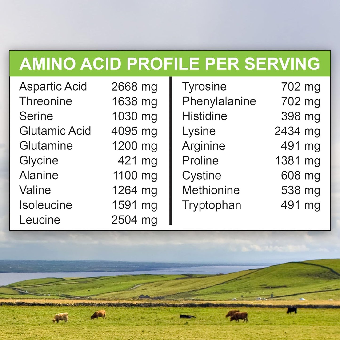 1 lb Grass-fed Whey Protein Isolate Powder - Rich Chocolate Malt Flavored - Cold-Processed, Non-GMO, rBGH Free