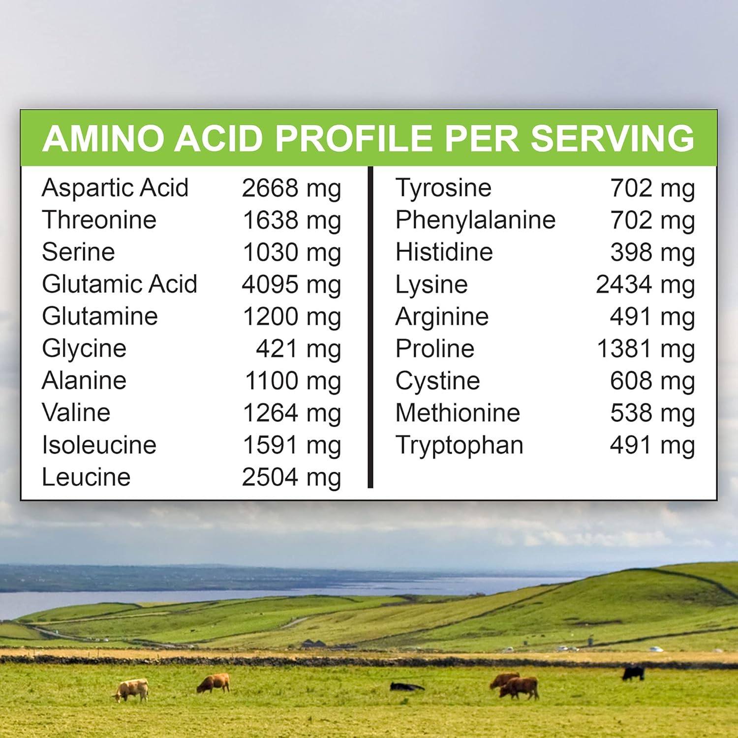 1 lb Grass-fed Whey Protein Isolate Powder - Rich Chocolate Malt Flavored - Cold-Processed, Non-GMO, rBGH Free