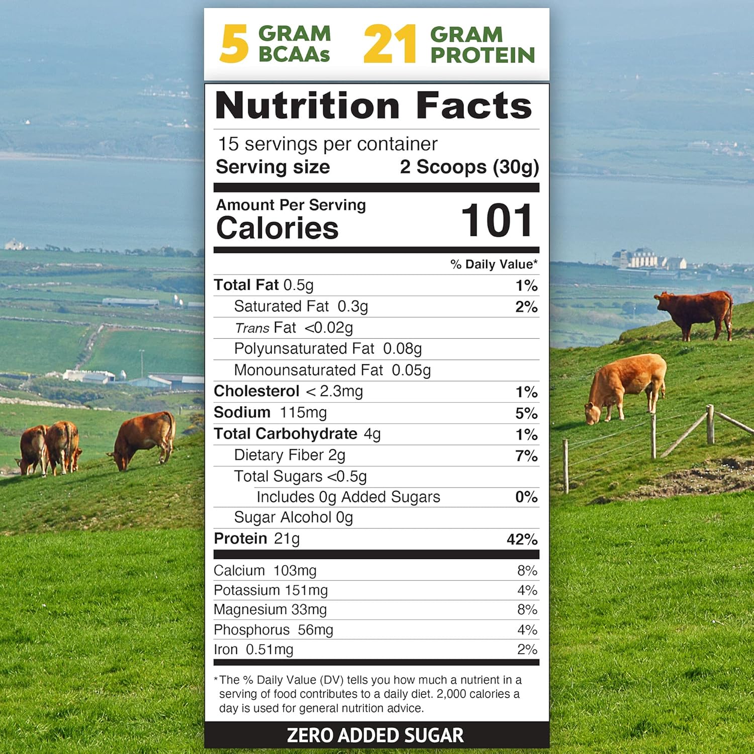 1 lb Grass-fed Whey Protein Isolate Powder - Rich Chocolate Malt Flavored - Cold-Processed, Non-GMO, rBGH Free