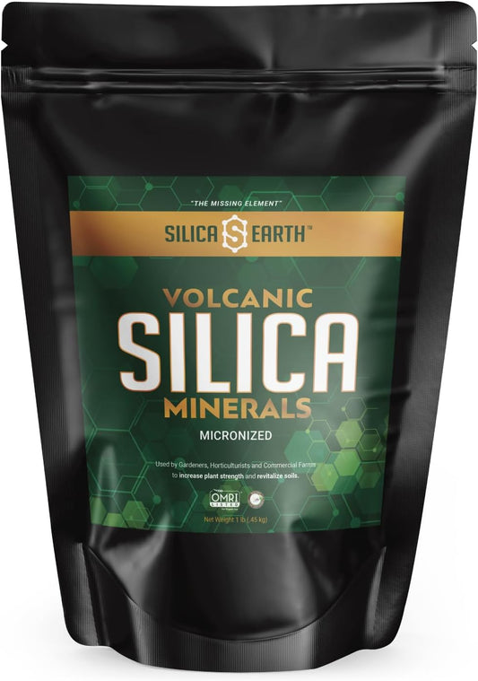 1 lb Micronized Silica Earth Volcanic Minerals - High-Quality Silica Minerals
