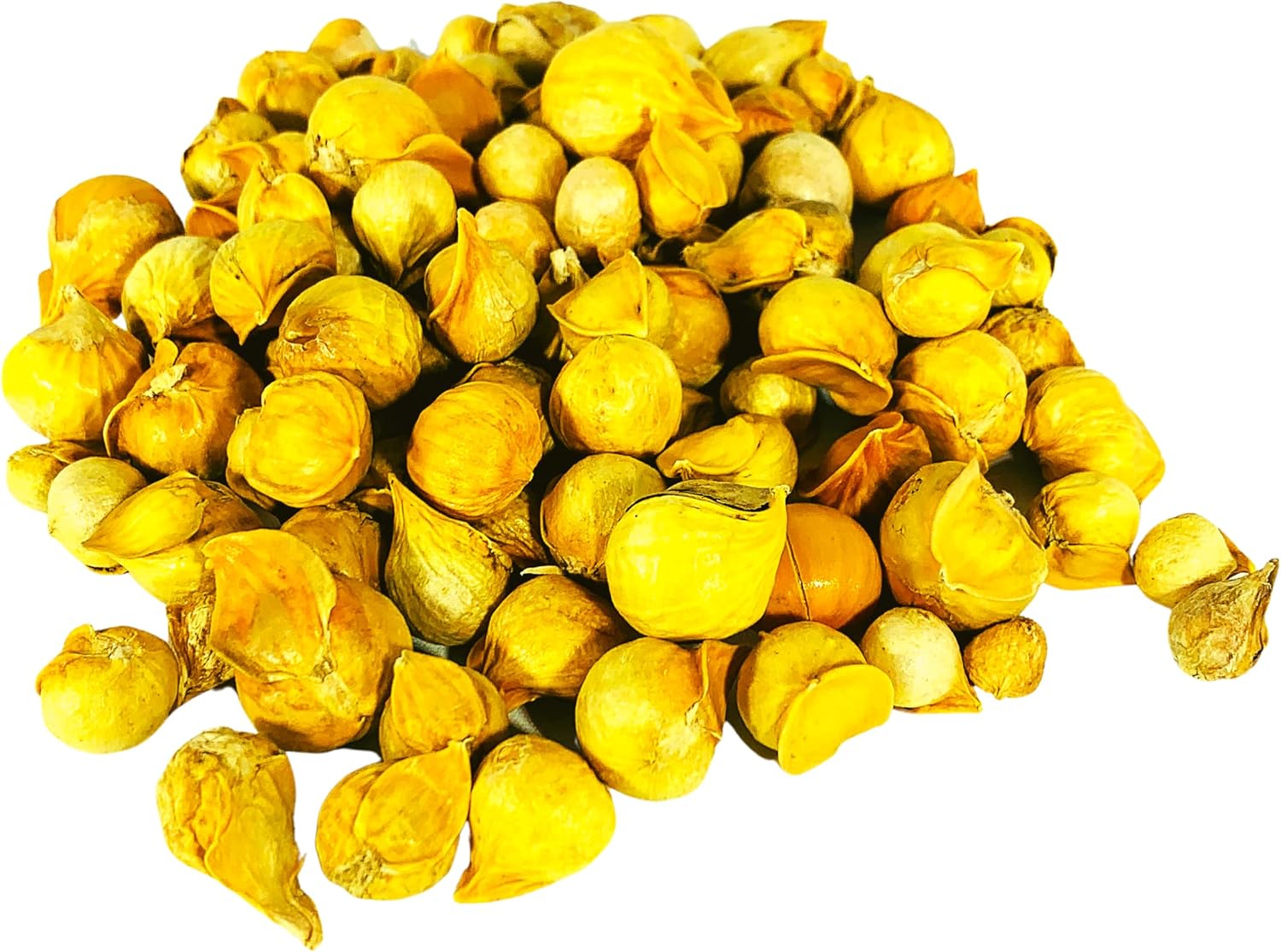 1 lb of Japanese Garlic (Ajo Japones) by Morel Distribution Company