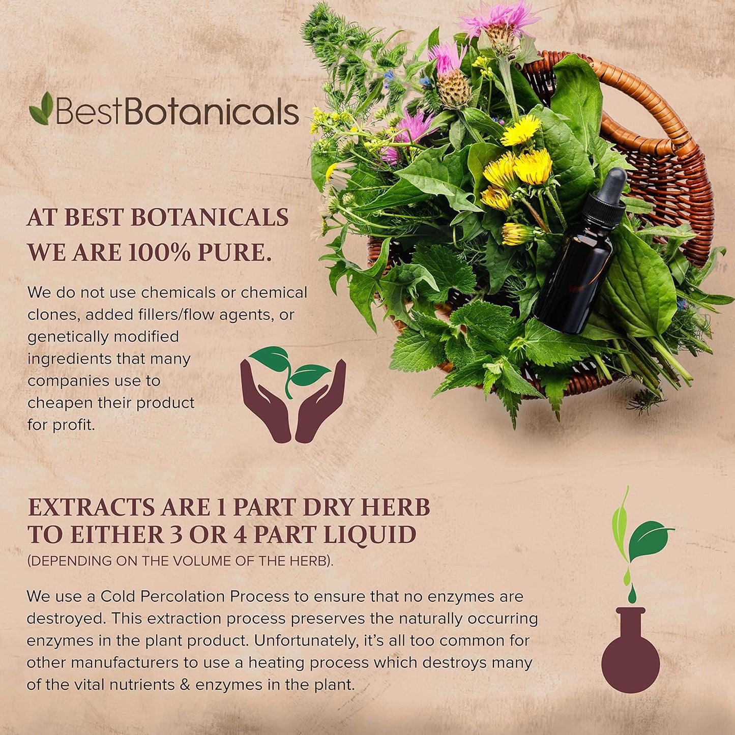 1 oz Best Botanicals Prickly Ash Bark Extract - Pure and Natural Formula for Overall Wellness