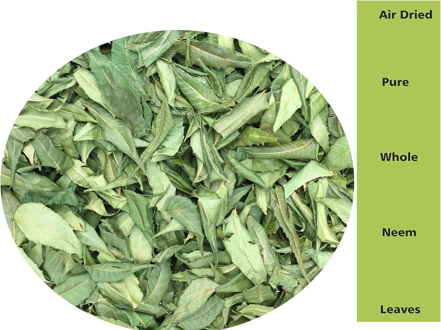1 oz of CeylonFlavors Fresh and Pure Dried Neem Leaves from Naturally Grown Trees