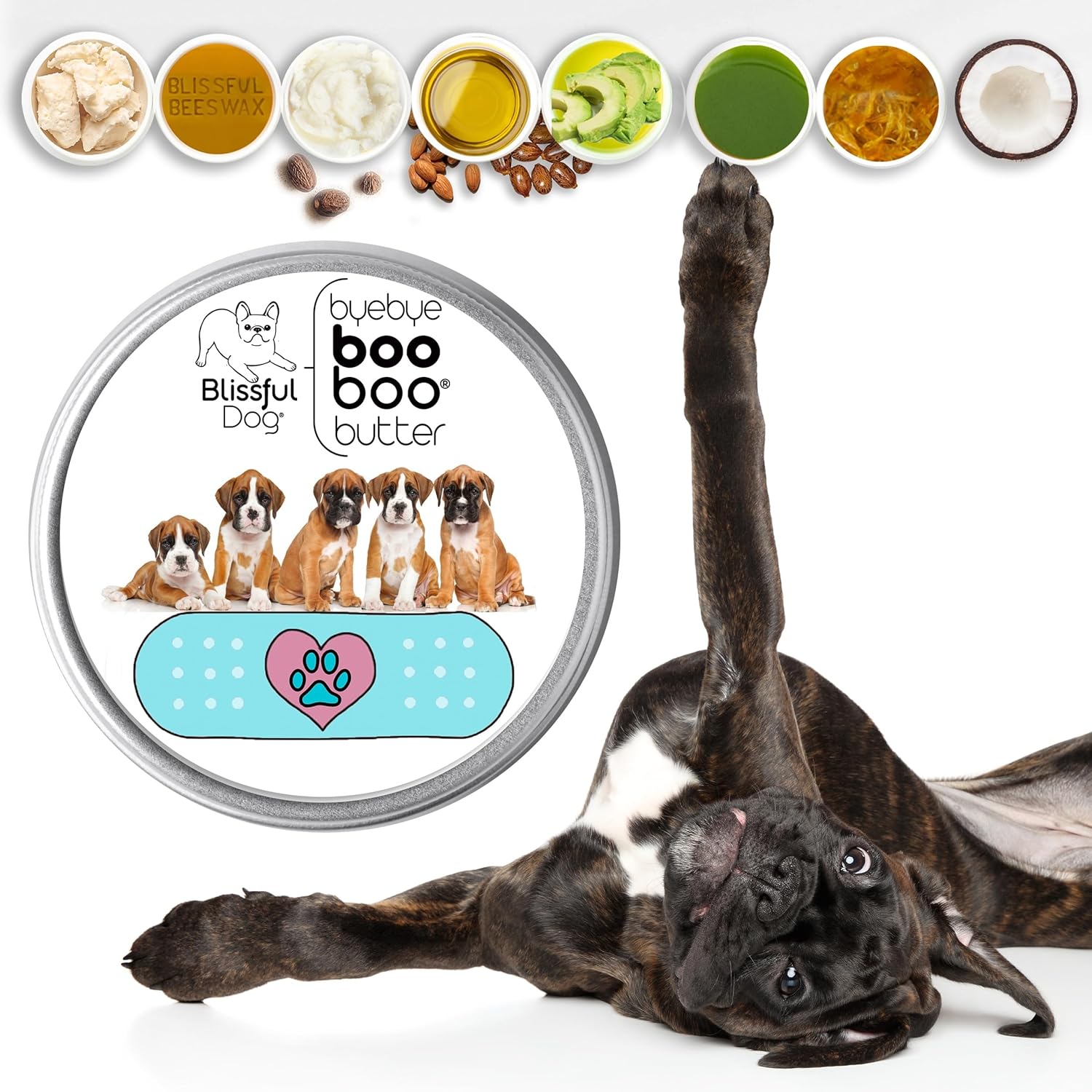 1 oz TIN Boxer Booboo Butter by The Blissful Dog - Soothing Balm for Boxer Dogs' Skin Issues