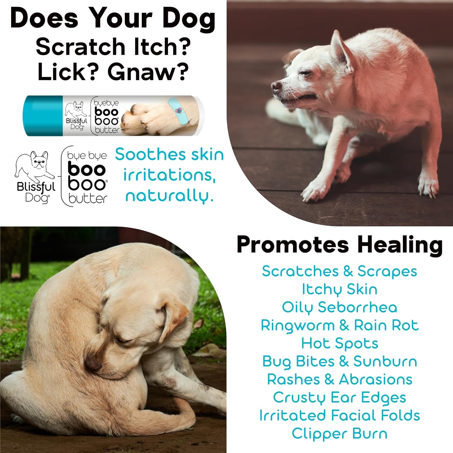 1 oz TIN Boxer Booboo Butter by The Blissful Dog - Soothing Balm for Boxer Dogs' Skin Issues