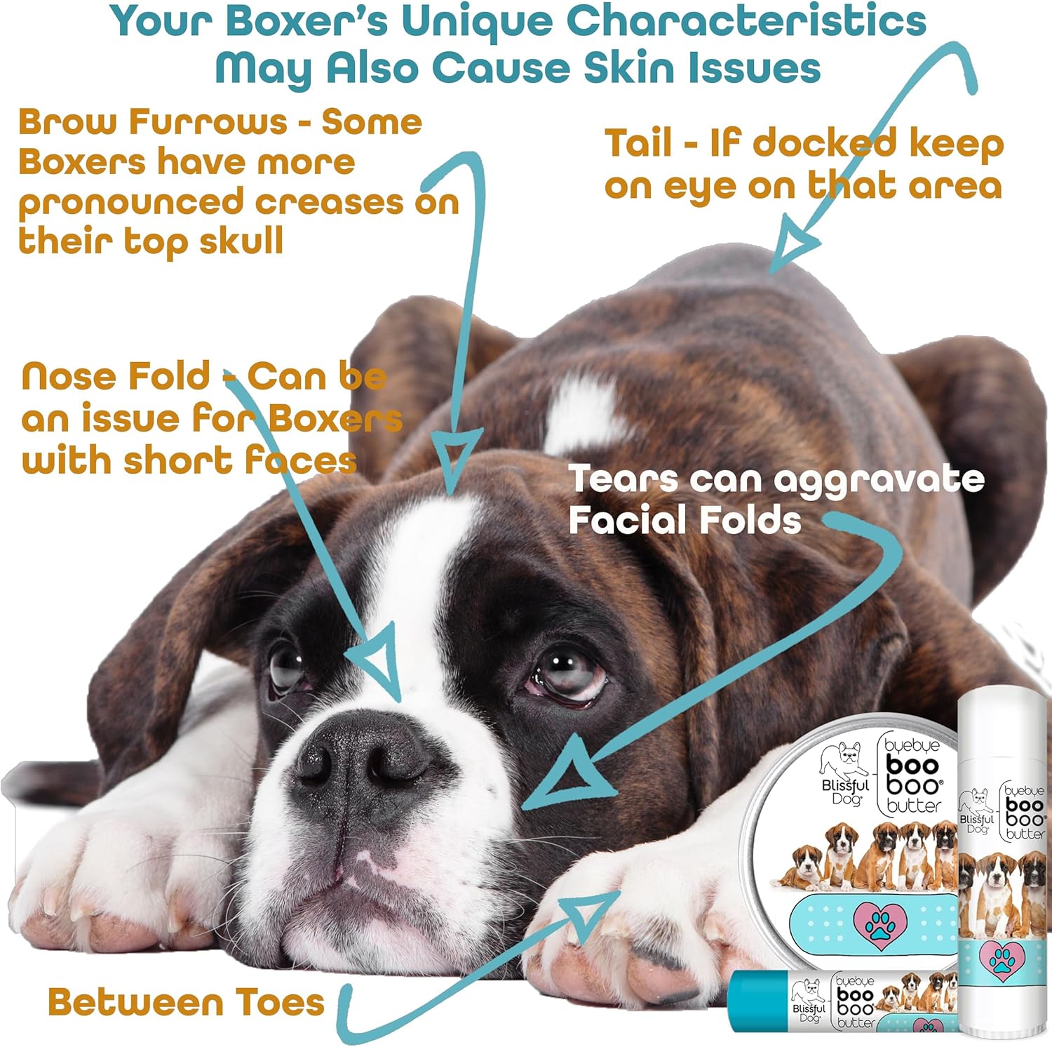 1 oz TIN Boxer Booboo Butter by The Blissful Dog - Soothing Balm for Boxer Dogs' Skin Issues