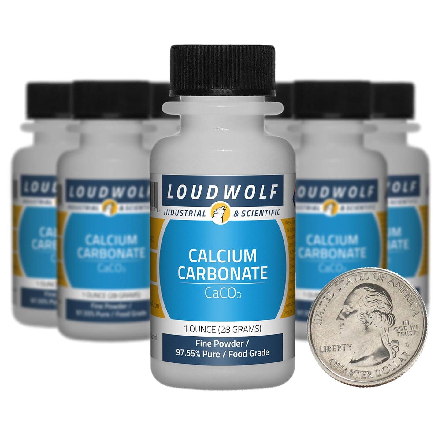 10 Bottles of Loudwolf Calcium Carbonate Fine Powder - 10 Ounces Each, 97.55% Pure Food Grade