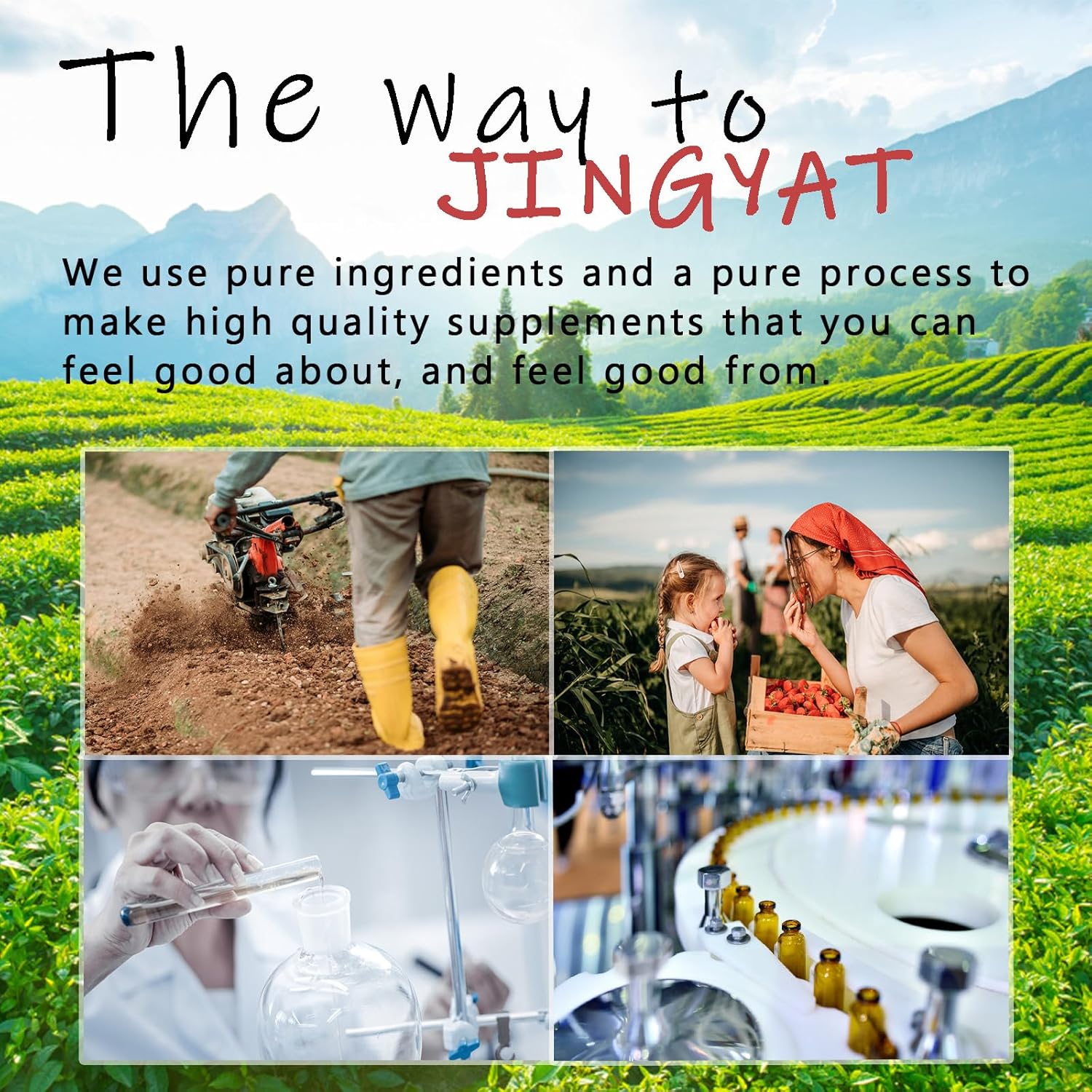 10-in-1 Immune Defense Drops with Vitamin C, D3, Zinc, Quercetin, Bromelain, Echinacea, Chlorophyll, Elderberry, Vitamin A, and K2 for Immunity Support