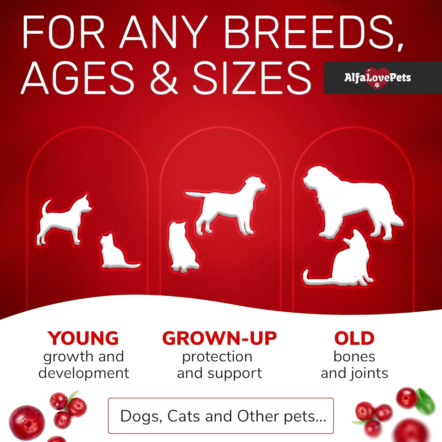 10-in-1 Liquid Multivitamin for Dogs and Cats - Alfa Love Pets - B Complex, C, D3 - Digestion, Urination, Hip & Joint, Skin & Coat - Cranberry Flavor - 2 Oz