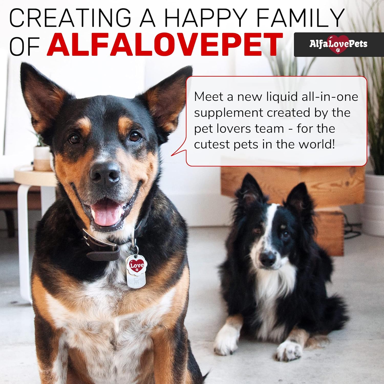 10-in-1 Liquid Multivitamin for Dogs and Cats - Alfa Love Pets - B Complex, C, D3 - Digestion, Urination, Hip & Joint, Skin & Coat - Cranberry Flavor - 2 Oz