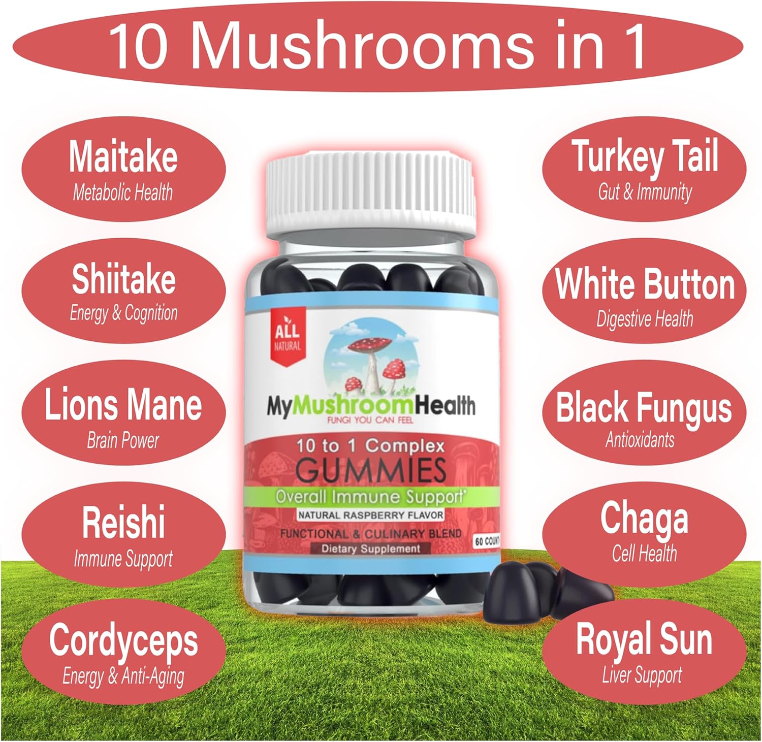 10-in-1 Mushroom Health Daily Supplement Gummies - Immune Support, Stress Relief, Energy, Focus, Mood - Berry Flavor - 60 Gummies