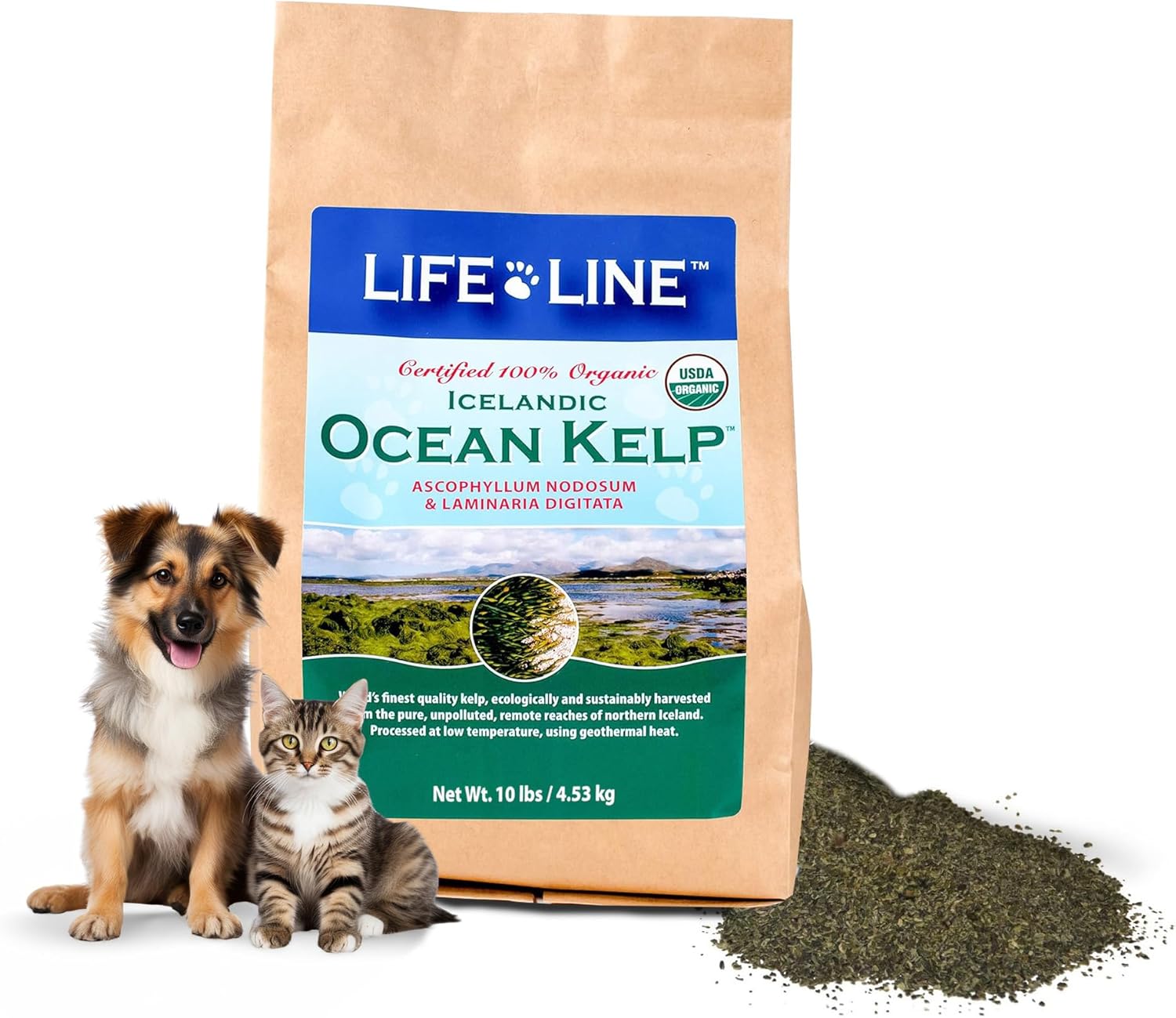 10 LB Organic Ocean Kelp for Pet Nutrition by Life Line