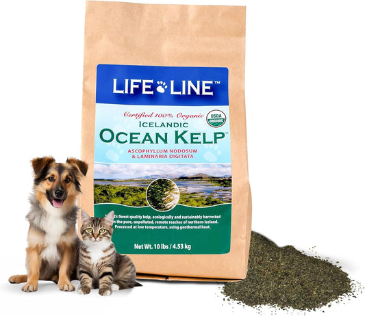 10 LB Organic Ocean Kelp for Pet Nutrition by Life Line