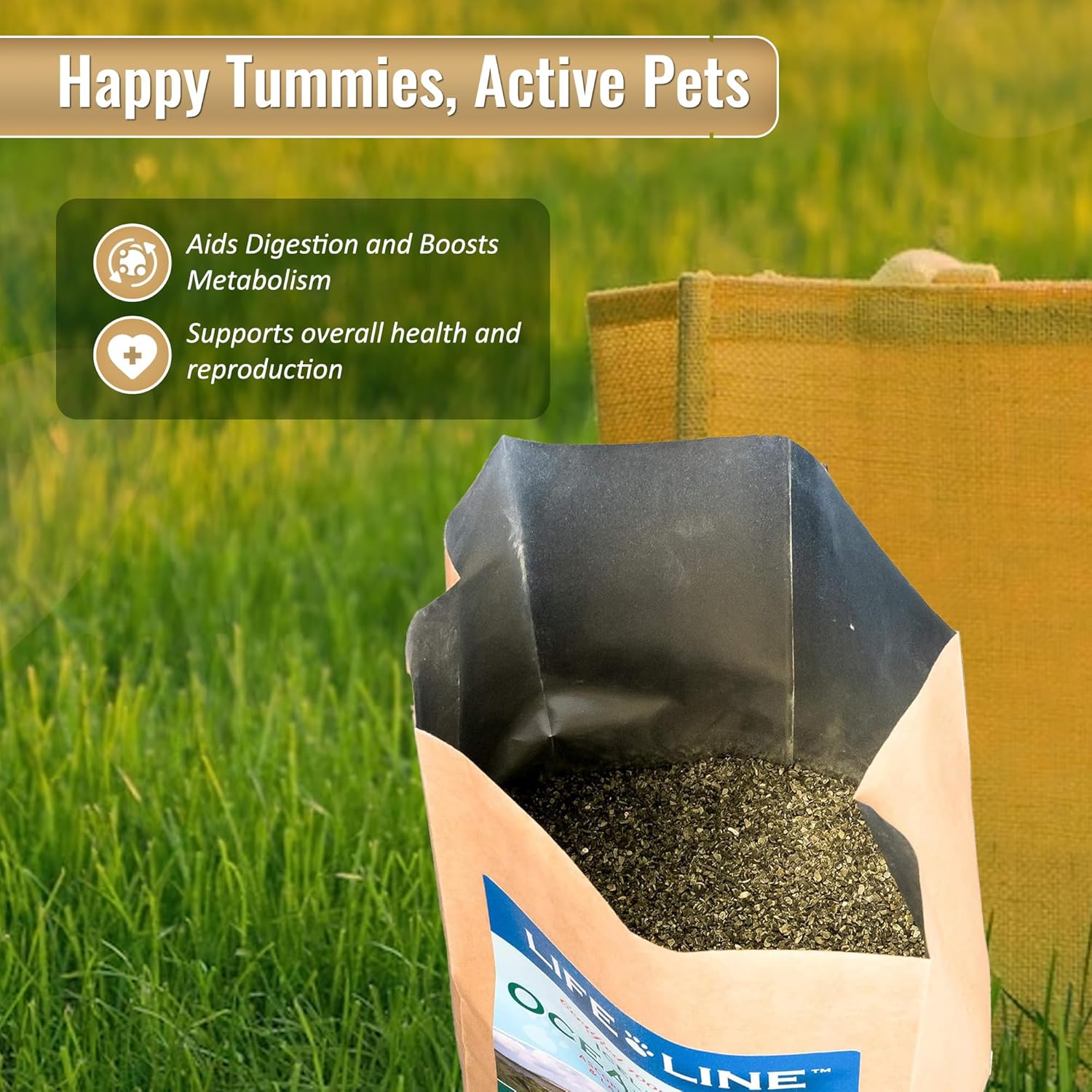 10 LB Organic Ocean Kelp for Pet Nutrition by Life Line