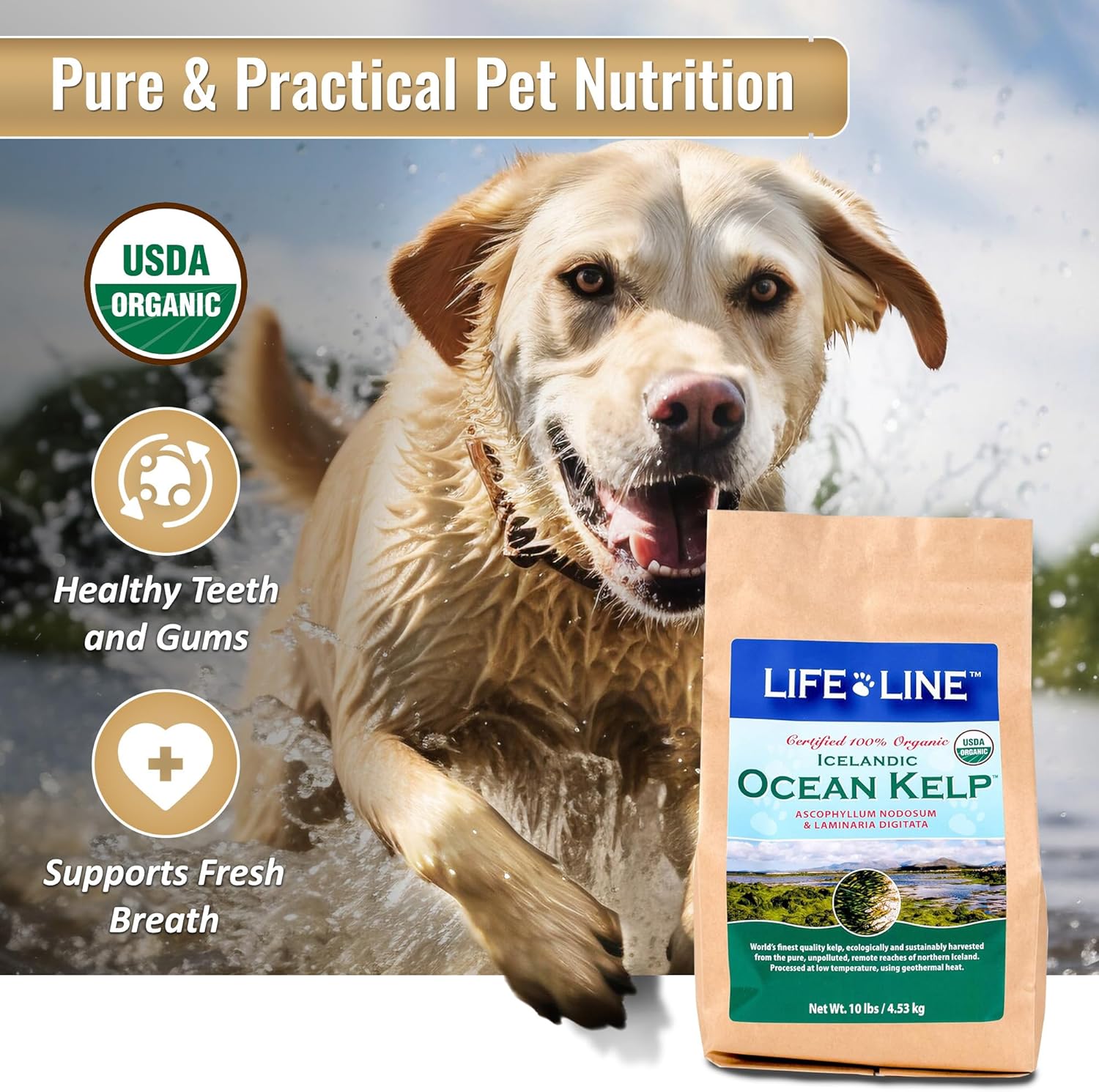 10 LB Organic Ocean Kelp for Pet Nutrition by Life Line