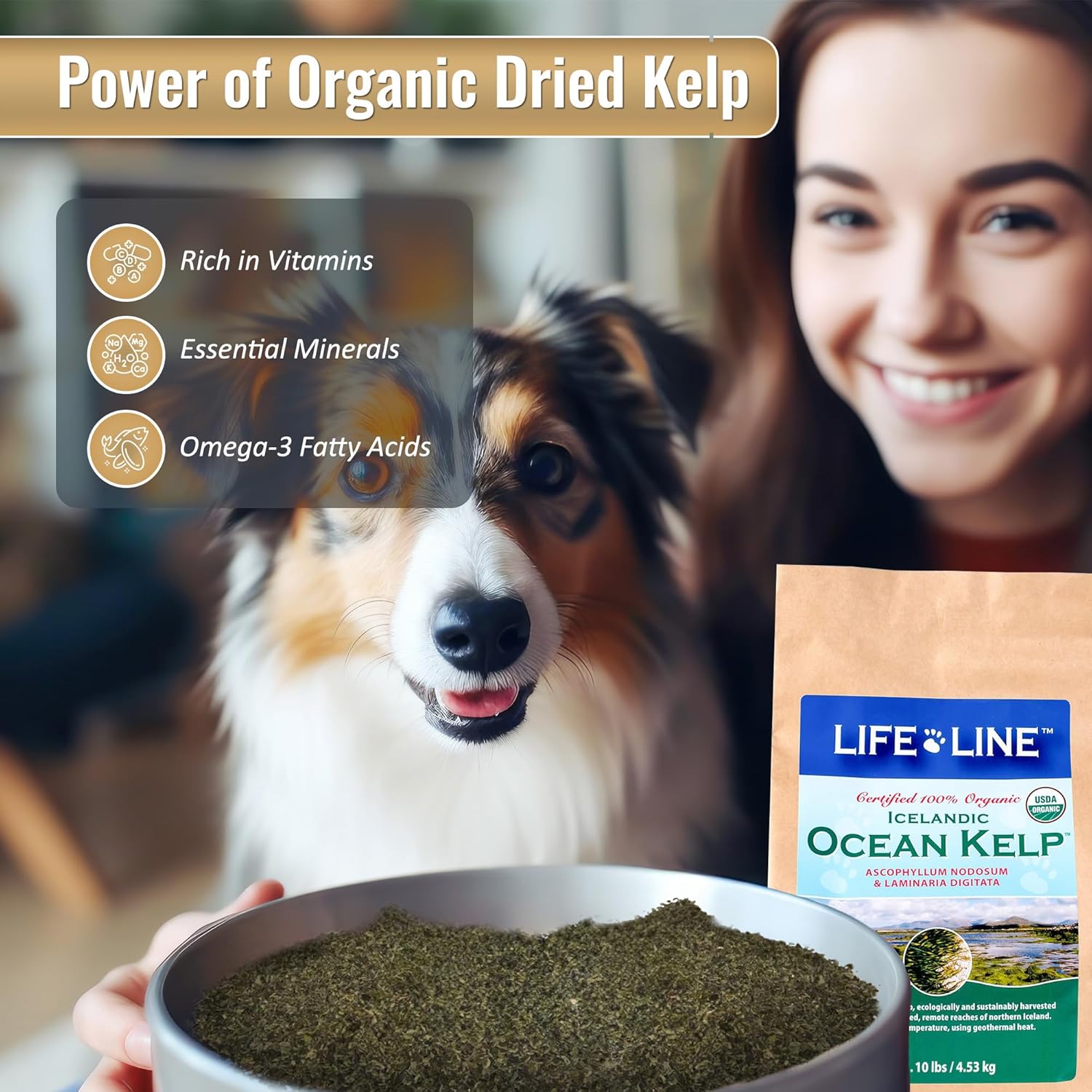 10 LB Organic Ocean Kelp for Pet Nutrition by Life Line