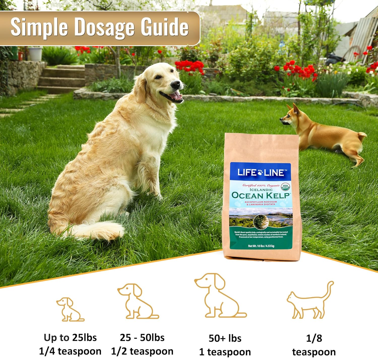 10 LB Organic Ocean Kelp for Pet Nutrition by Life Line