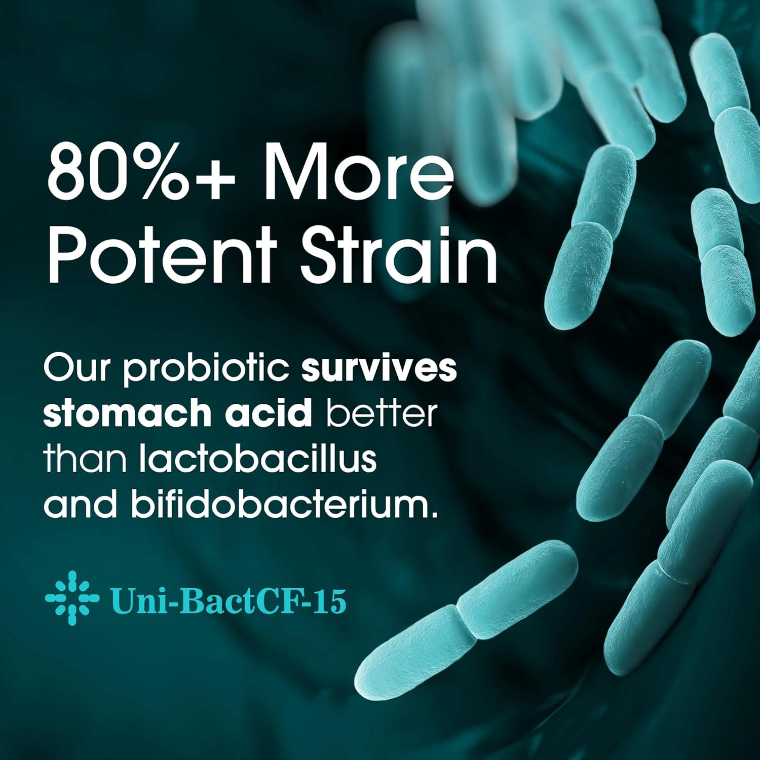 10 Month Supply Probiotic Digestive Health Support for Women & Men - USA Made Vegan Formula with Prebiotic Blend - 62% More Stable Gut Health Probiotics