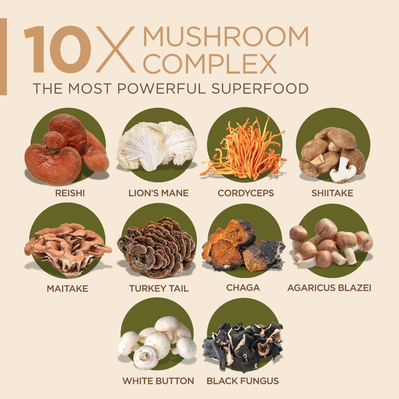 10 Mushroom Complex Nootropic Brain Supplement - Boost Brain Function with Lions Mane, Reishi, Cordyceps, Chaga, Turkey Tail - Memory, Focus, Energy Support - Immune Booster - 90 Capsules