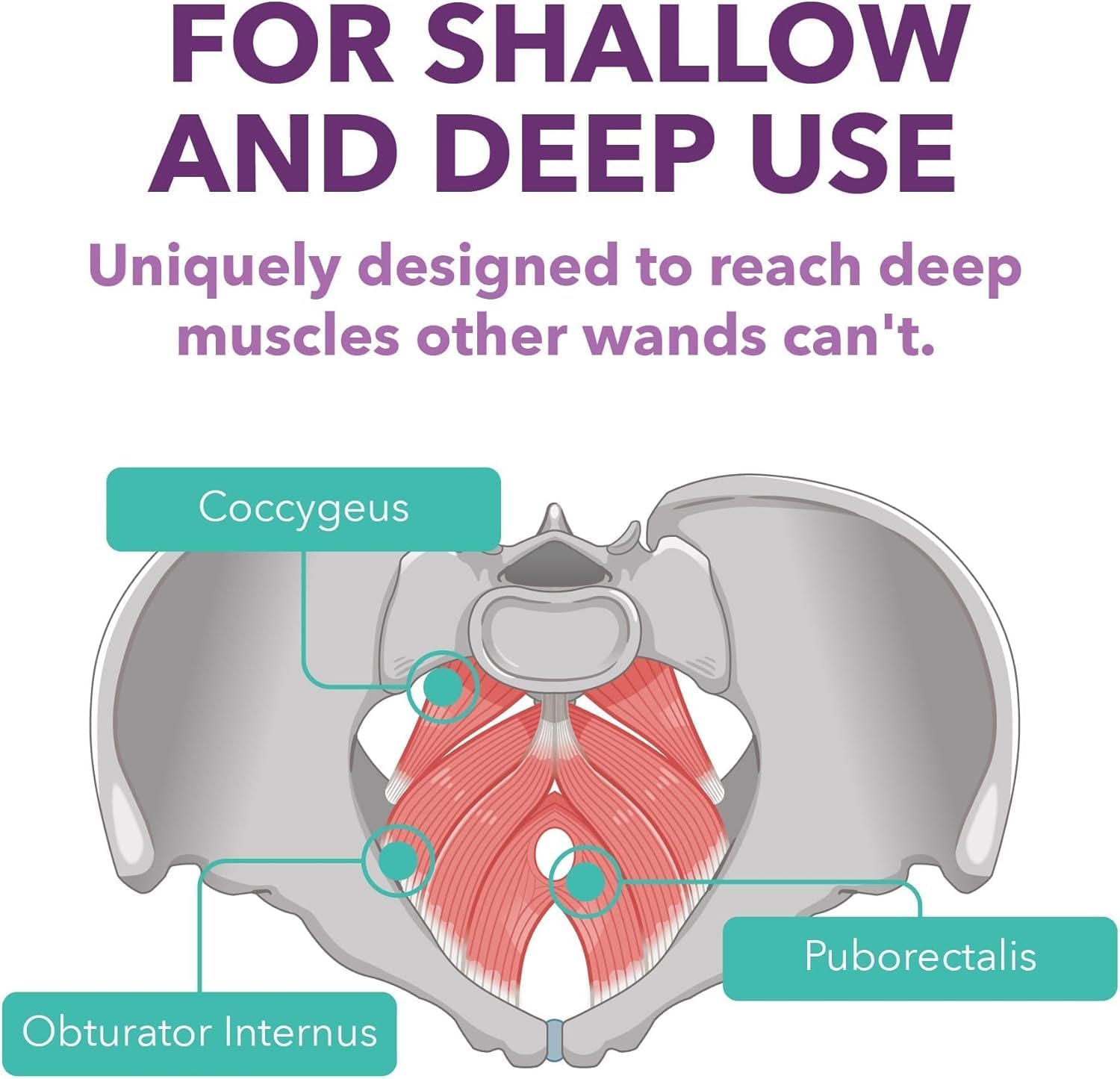 10% Off Intimate Rose Aloe Vera Supplement & Calcium Pelvic Wand with Vibration