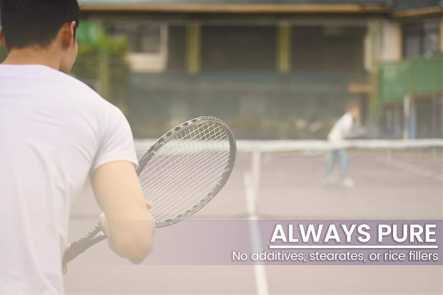 100 Capsules of Lab Verified Holy Basil with Pure Original Ingredients - No Additives or Fillers - BoostGo Australia