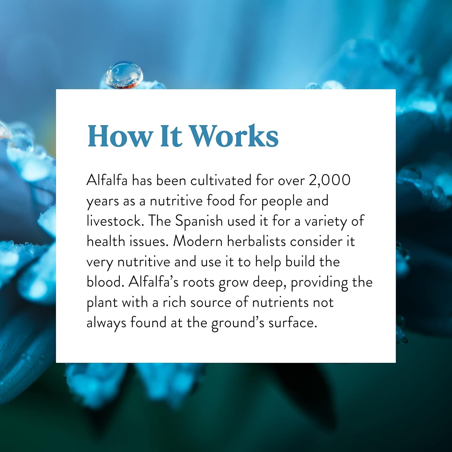 100 Capsules of Nature's Sunshine Alfalfa Supplement for Natural Wellness