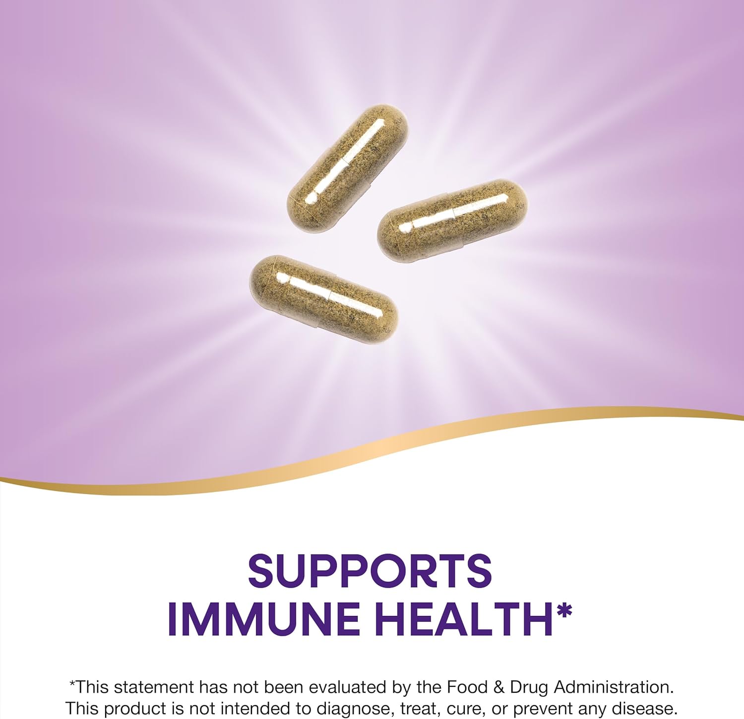 100 Capsules of Nature's Way Echinacea Astragalus & Reishi for Immune Support