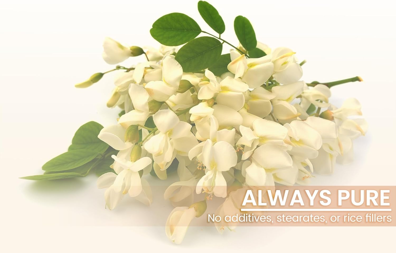 100 Capsules of Pure Acacia Fiber - Lab Verified, No Additives or Fillers - Original Ingredients - BoostGo Australia