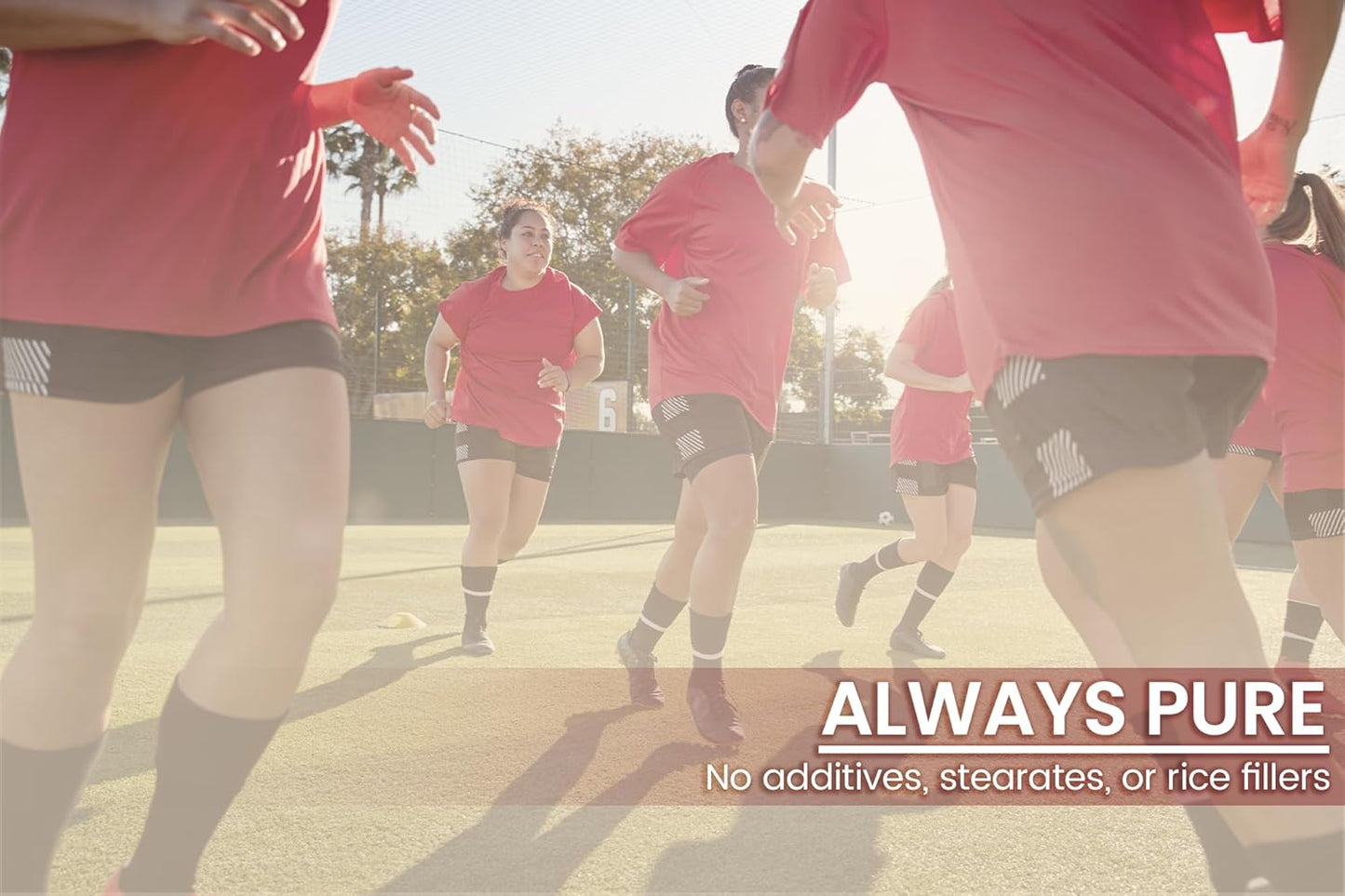 100 Capsules of Pure Devil's Claw Extract - Lab Verified, No Additives or Fillers