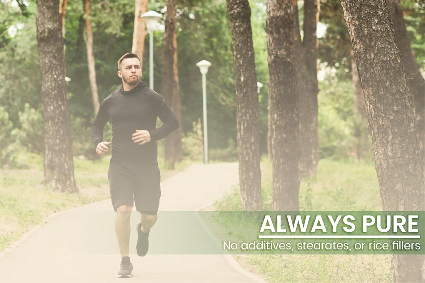 100 Capsules of Pure Green Coffee Bean Extract - Lab Verified, No Additives or Fillers - Always Made with Pure Original Ingredients