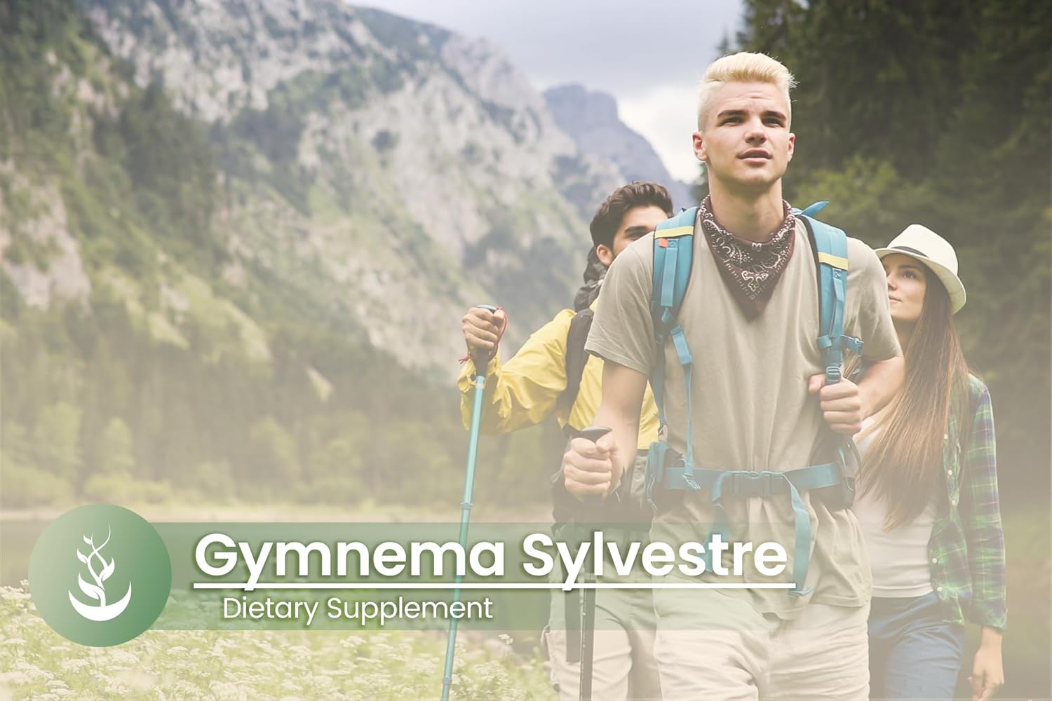 100 Capsules of Pure Gymnema Sylvestre - Lab Verified, No Additives or Fillers