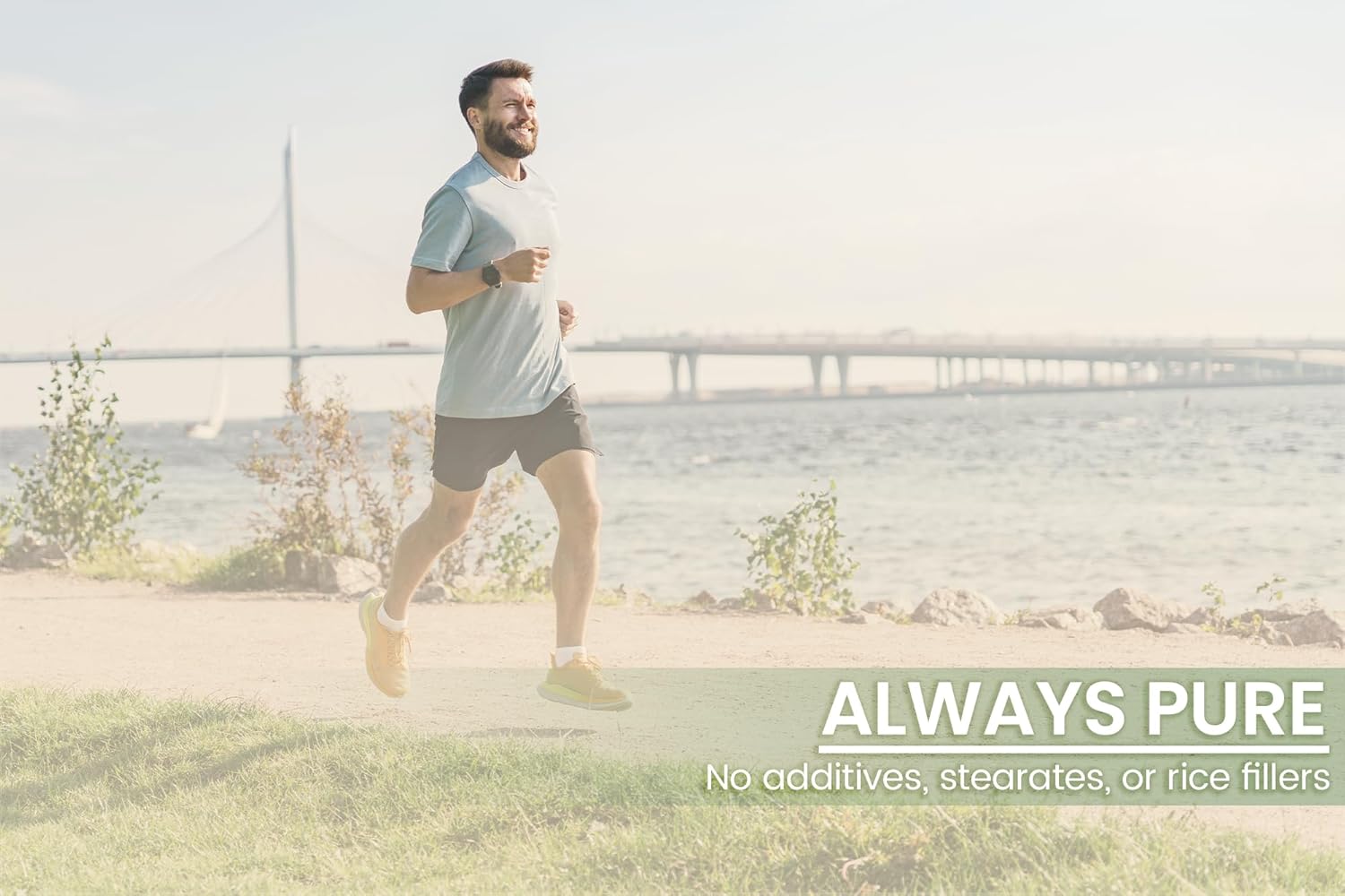 100 Capsules of Pure Gymnema Sylvestre - Lab Verified, No Additives or Fillers