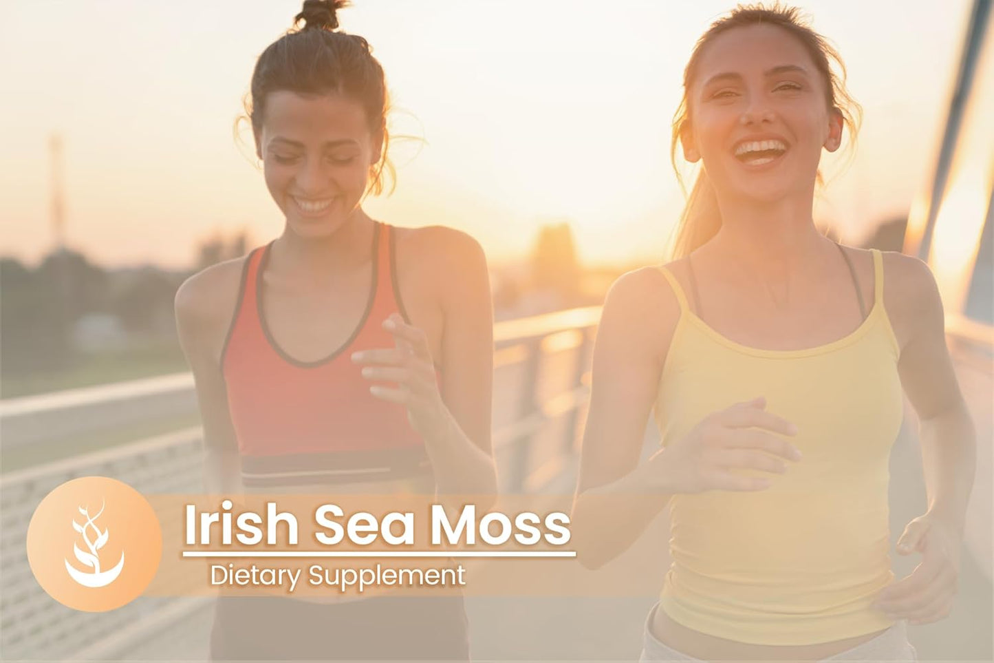100 Capsules of Pure Irish Sea Moss with Original Ingredients, Lab Verified, No Additives or Fillers - Always Pure