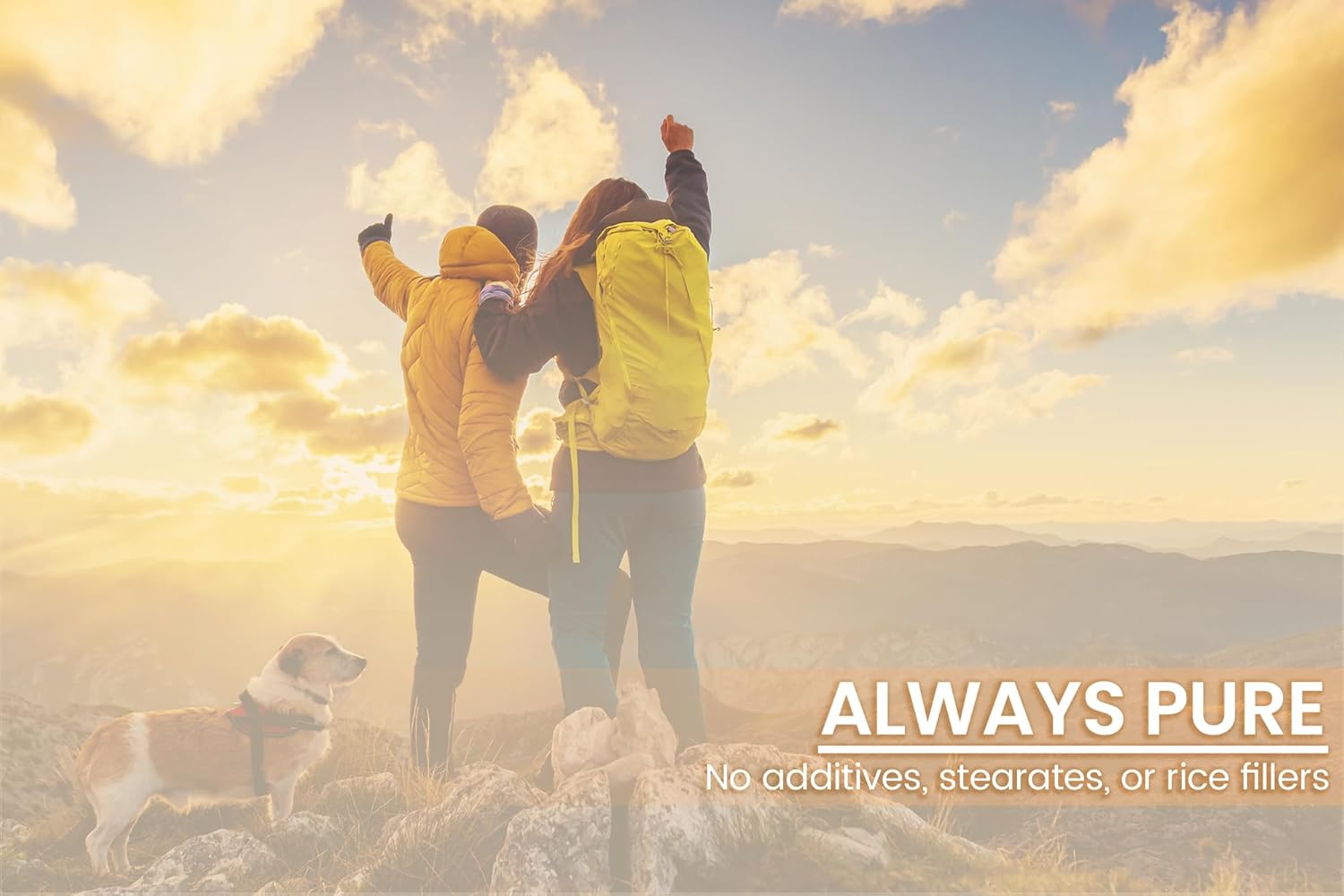 100 Capsules of Pure Irish Sea Moss with Original Ingredients, Lab Verified, No Additives or Fillers - Always Pure