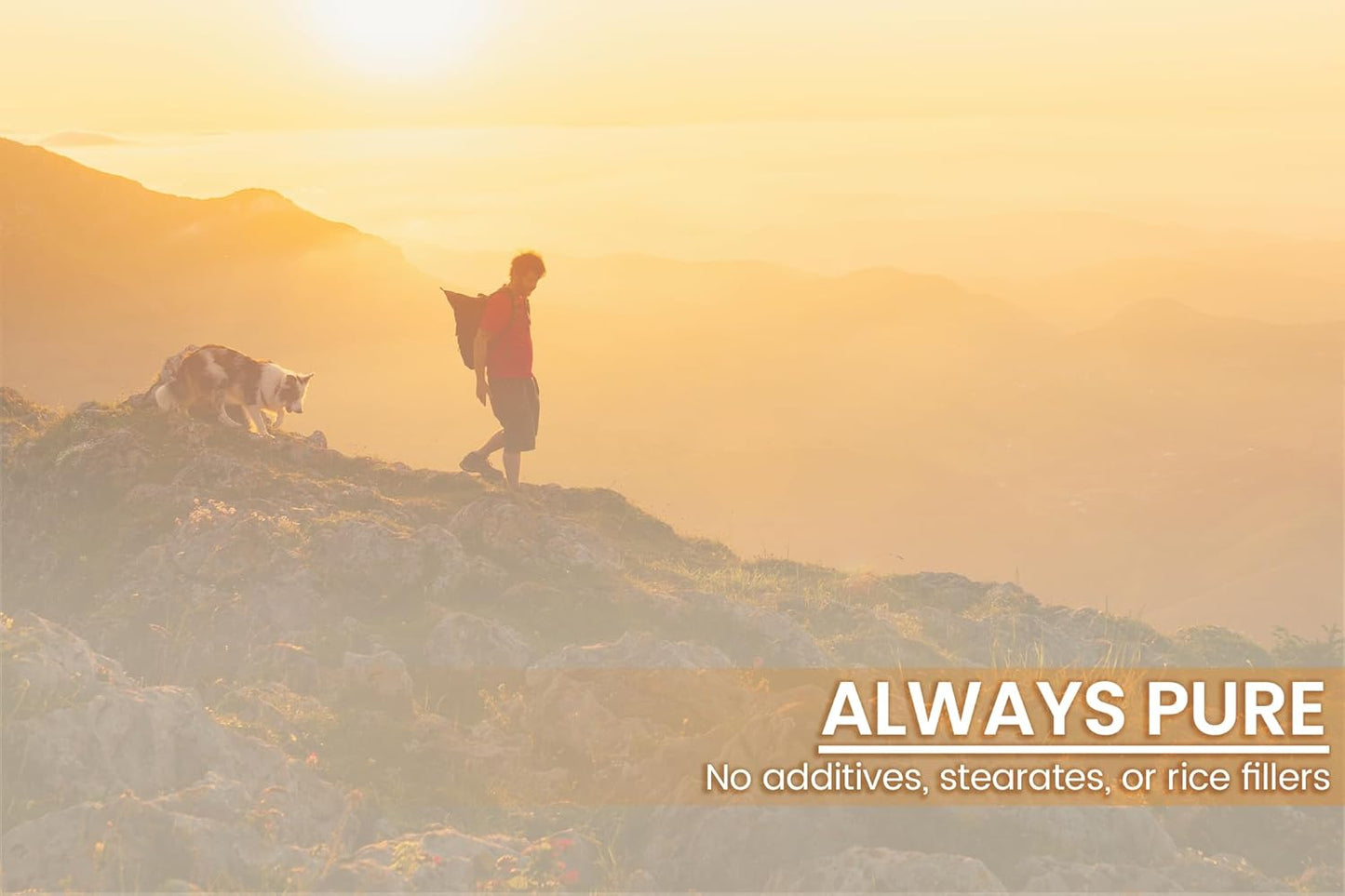 100 Capsules of Pure Irvingia with Original Ingredients - Lab Verified, No Additives or Fillers