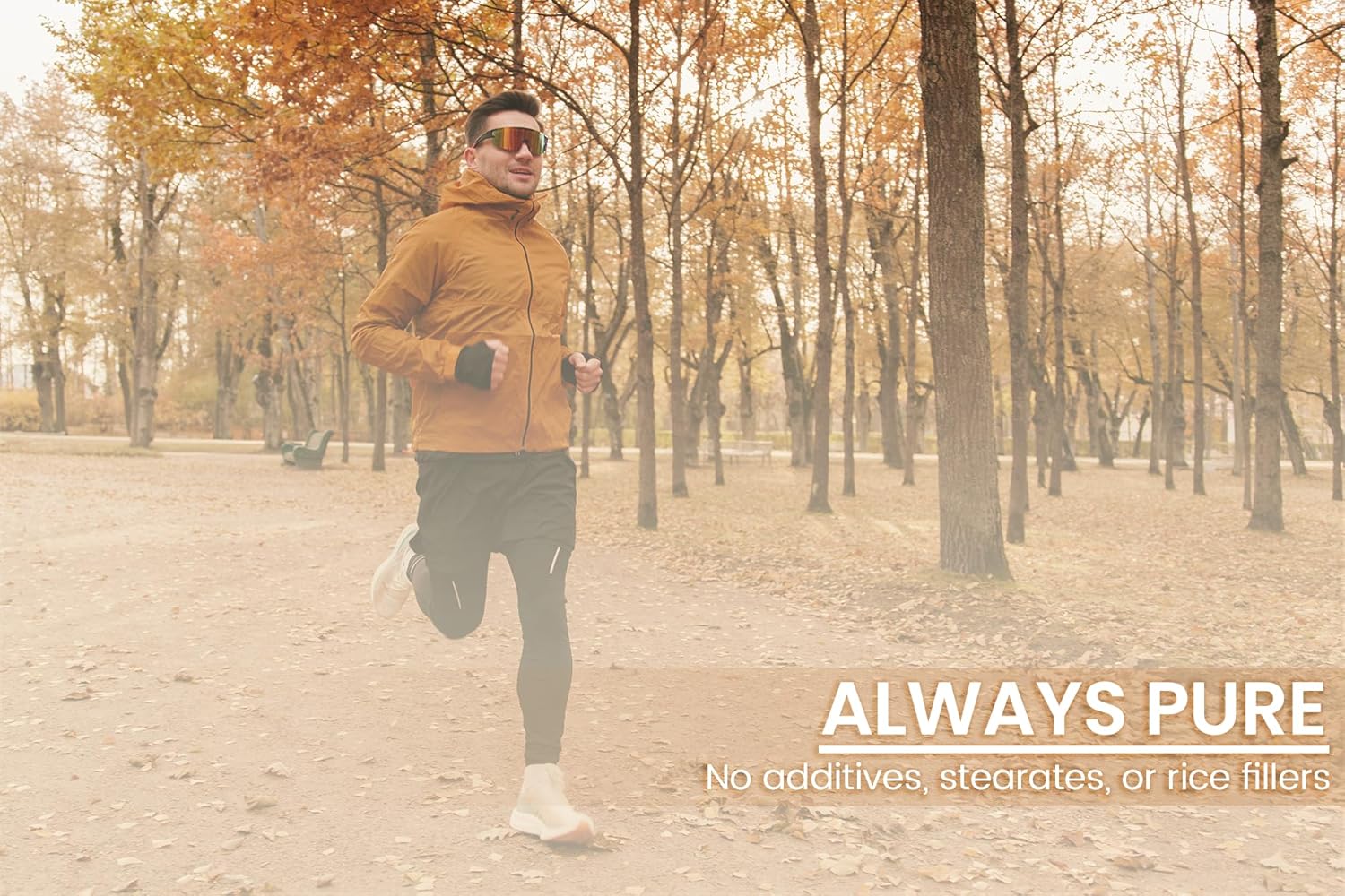 100 Capsules of Pure Maca Root - Original Ingredients, Lab Verified, No Additives or Fillers