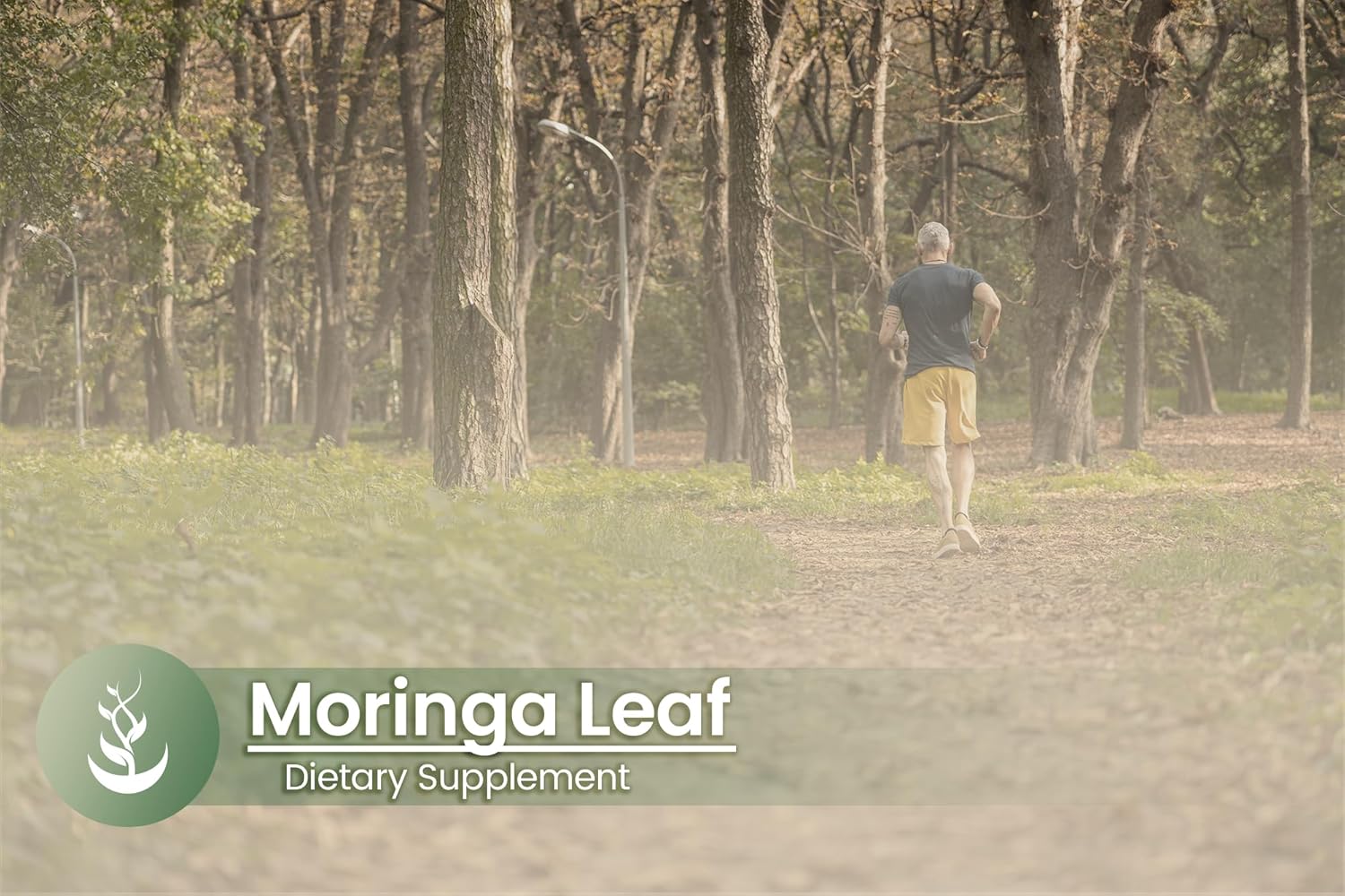 100 Capsules of Pure Moringa Oleifera with Original Ingredients, Lab Verified - No Additives or Fillers