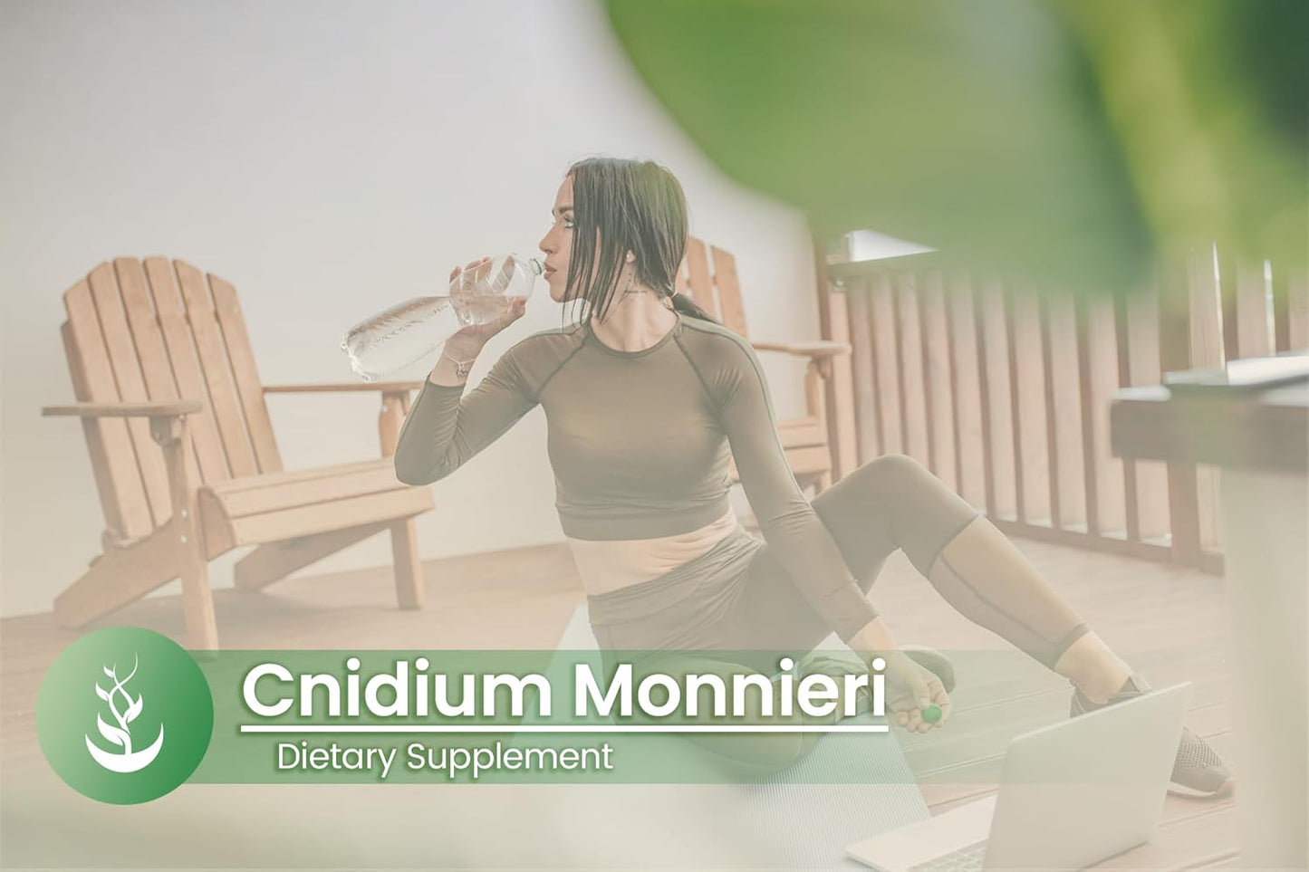 100 Capsules of Pure Original Cnidium Monnieri with Lab Verified Ingredients, No Additives or Fillers