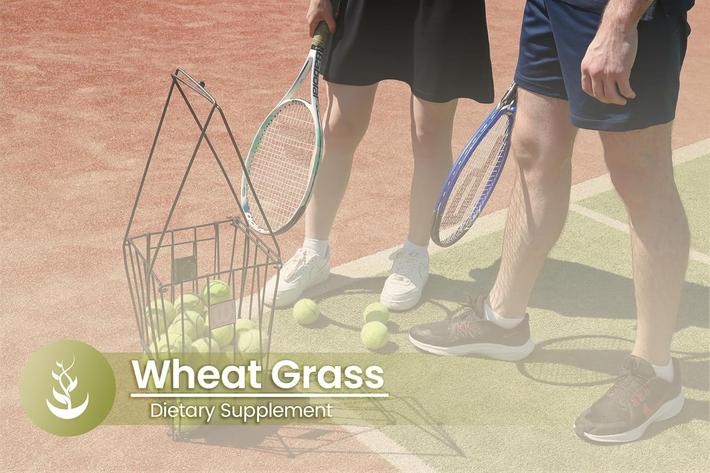 100 Capsules of Pure Wheat Grass - Original Ingredients, Lab Verified, No Additives or Fillers