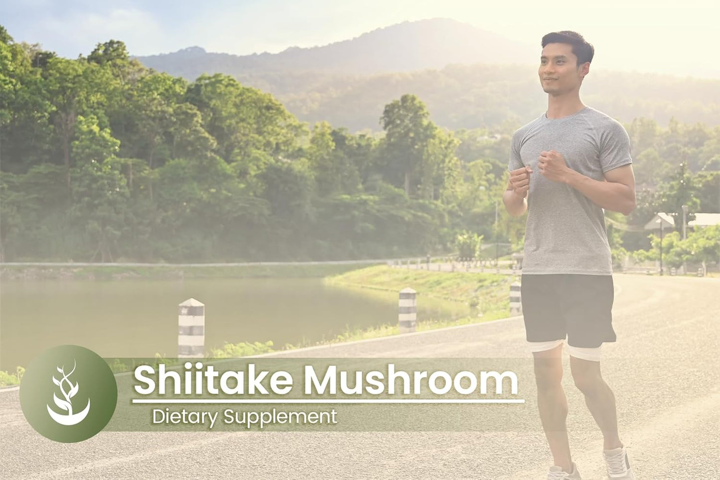 100 Capsules of Shiitake Mushroom Extract - Pure Ingredients, No Additives, Lab Verified