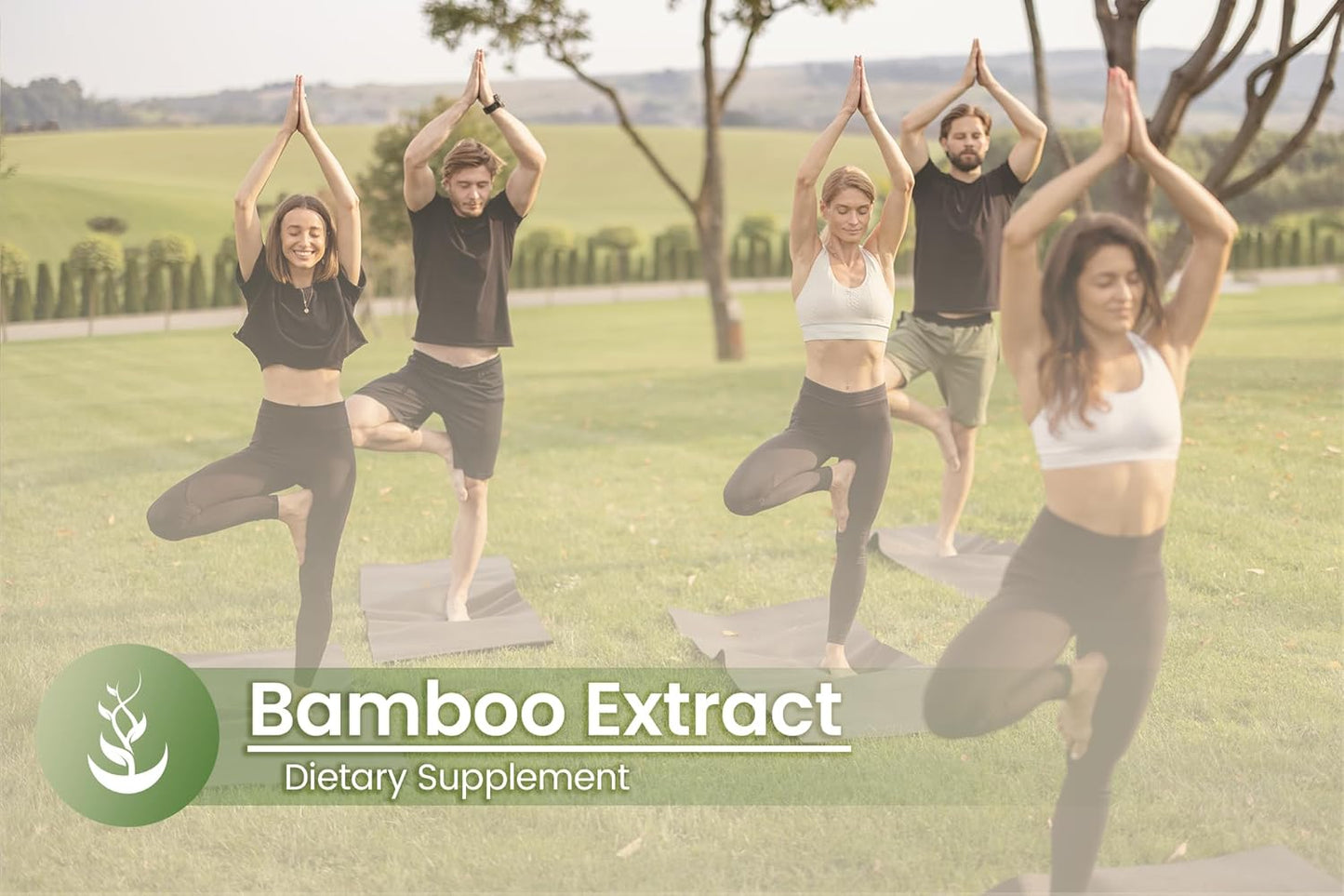 100 Capsules Pure Bamboo Extract with Original Ingredients, Lab Verified, No Additives or Fillers